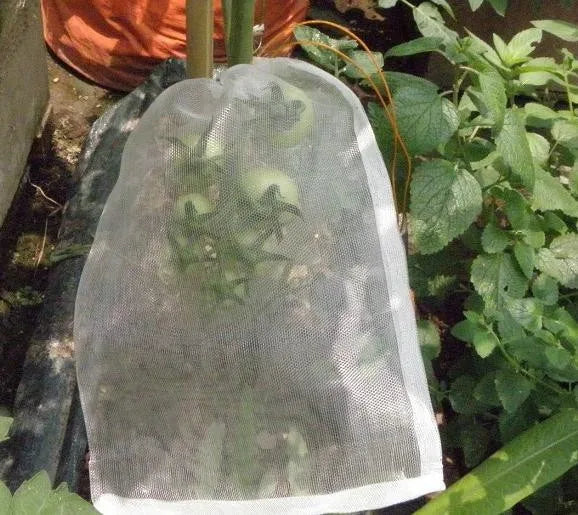 25x15cm Nylon net bag,40mesh Seed bag,fish fruit insect bird net bag,filtering against Insect Vermin Damage,rice seed soaking - Image 3